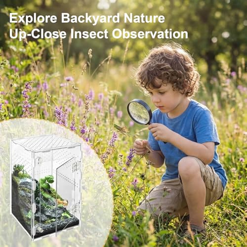 Jumping Spider Enclosure, Acrylic Terrarium for Tarantula & Reptiles, Front Opening Door Habitat for Spiders, Mantis, Frogs & Lizards (10x6x6 Inch)