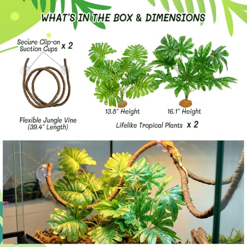 3 Pcs Reptile Terrarium Plants Kit – Realistic Artificial Leaves with Hanging Vine, Resin Stone Base – Rainforest & Jungle Monstera & Palm for Gecko & Amphibian Hermit Crab Snake Habitat Decor - color: Fatsia & Monstera