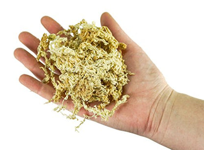 New Zealand Sphagnum Moss (1 kilogram),tan - size: AAA Premier (6" Strands)