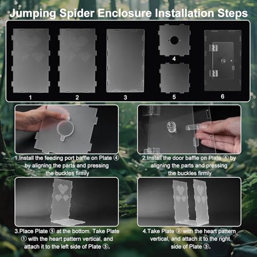 Jumping Spider Enclosure,6x6x10 in Spider Enclosure Easy Assembly with DIY Jumping Spider Accessories Front Opening Bug Habitat with Feeding Port for Mantises,Spiders,Insects