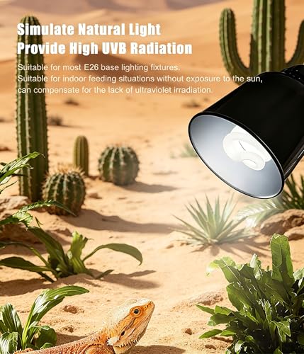 2-Pack E26 Reptile UVB Light Bulb 13W UVA UVB 10.0 | Compact Fluorescent Lamp for Bearded Dragon, Tortoise, Lizard, Suitable for Desert Reptile Vivarium Tank - size: 13W UVB 10.0