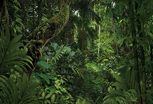 7x5ft Jungle Forest Photography Backdrop for Outdoorsy Camping Theme Party Background Spring Mysterious Rainforest Jungle Forest Tree Natural Scenery Kids Adult Wedding Photo Studio Props - size: 7x5ft