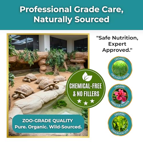Sulcata Tortoise Calcium & Multivitamin Powder - Herpetologist Formulated Vitamin and Mineral Powder for Reptiles with High Fiber - 30 Day Supply in Shaker Bottle for Tortoise Lovers!