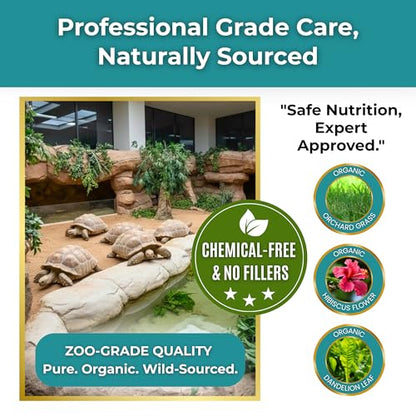 Sulcata Tortoise Calcium & Multivitamin Powder - Herpetologist Formulated Vitamin and Mineral Powder for Reptiles with High Fiber - 30 Day Supply in Shaker Bottle for Tortoise Lovers!