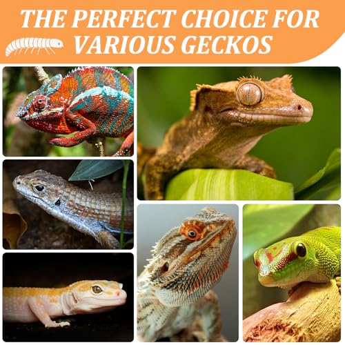 2 Pack Gourmet Canned Superworms for Reptiles & Exotic Pets, Healthy High Protein Pet Treats, Supe Worms for Lizards, Reptiles, Birds, Fish, Hedgehogs etc, 5.5 oz Total