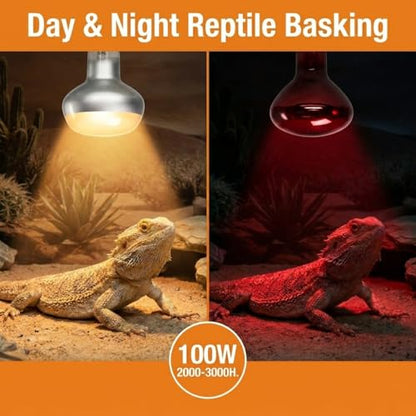 2Pack 100W Reptile Heat Lamp, Day & Night Basking Lamp Combo | UVA Daylight Heat Bulb & Infrared Red Night Heating Light, Terrarium Heat Lamps for Reptiles, Bearded Dragon, Lizard, Chicken