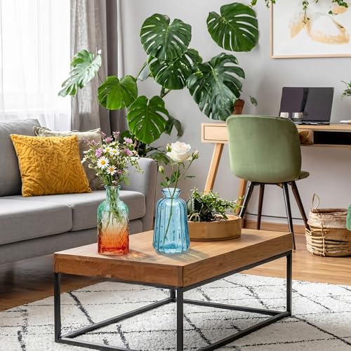 6 Pcs Stained Glass Hanging Vases Hanging Glass Planters 4 Styles Small Plant Terrarium Pot Containers with Rope for Garden Home Indoor Outdoor Decor Holders Wall Windowsill