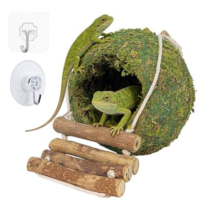 Handmade Moss Reptile Hanging Nest 4 Pcs Set, Large 6″ x 6″ | Gecko Hideout with Ladder, Terrarium Decor for Crested Gecko, Leopard Gecko, Lizard, Small Reptiles & Amphibians - size: Large 6″ x 6″