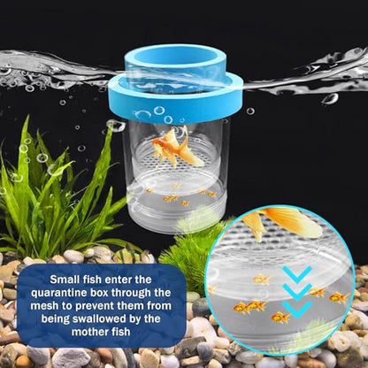 Large Floating Fish Breeding Box, Plastic Clear Breeding Box for Fish Tank | Aquarium Divider Incubator with Suction Cup, Adjustable Isolation Hatchery for Shrimp Guppy