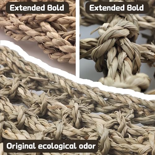 2 Pieces Bearded Dragon Hammock Large, 30" x 7" Reptile Hammock | Lizard Hammock, Climbing Habitat Tank Accessories, Reptile Bridge, For Chameleon Hermit Gecko Snakes - style: 2Pcs Rectangle