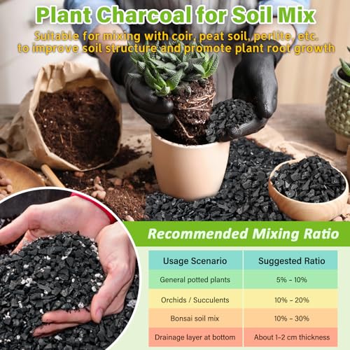 8QT All Natural Horticultural Charcoal- Activated Hardwood Plant Charcoal for Soil Amendment, Conditioning Bonsai Soil, Succulent Soil, Terrarium Supplies, Indoor Plant Potting Soil - color: 8 QT