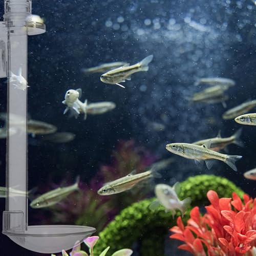 IMIKEYA Fish Tank Shrimp Feeder Tube with Acrylic Feeding Tool and Cleaning Brush, 15cm Aquarium Feeder for Betta and Small Shrimp Feeding
