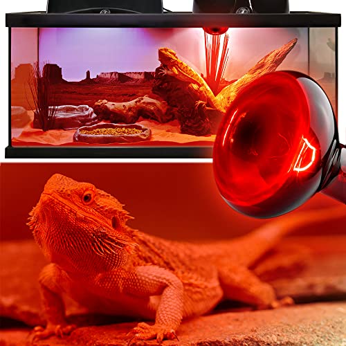 2 Pack 50w Reptile Heat Lamp Bulb Infrared Basking Spot Heat Lamp for Reptiles & Bearded Dragon Amphibian, Chicks, Dog Heating Use with Stick-on Digital Temperature Thermometer - style: 50W(2 Pack)