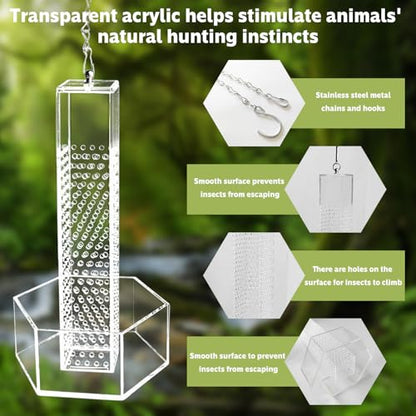 Chameleon Feeding Bowl, Hanging Transparent Acrylic Bearded Dragon Feeder, Hookable Lizard Feeder, Column for Insects to Climb Suitable for Lizard, Iguana, Gecko,Bearded Dragon
