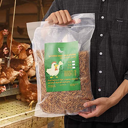 Non-GMO Dried Mealworms,11LB 100% Natural Large Size No Moisture,Treats for Birds Chickens Hedgehog Hamster Fish Reptile Turtles - size: 11 Pound (Pack of 1), style: Mealworms
