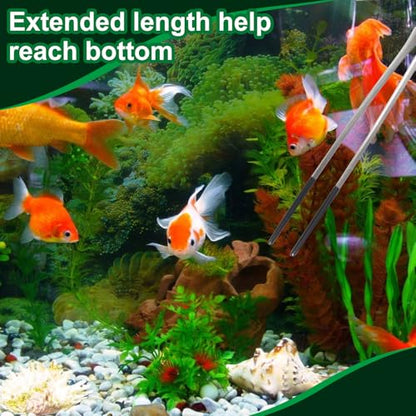 Stainless Steel Reptile Feeding Tongs 10.6" Straight and Curved Long | 2PCS Terrarium with Rubber Tip Aquascape Tools Feeder for Lizards, Bearded Dragon Snake Enclosure Tank Accessories