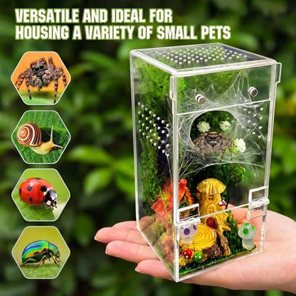 Jumping Spider Enclosure Kit – Escape-Proof Terrarium for Jumping Spiders | 3"x3"x6.2" Complete Habitat with Spider Cage, Plants, Moss, and Accessories – Ideal Starter Kit