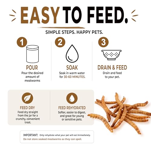Freeze-Dried Mealworms – High-Protein Treat for Reptiles, Birds & Insect-Eating Pets – 2.6 oz Jar