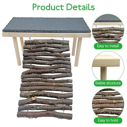 BNOSDM Bearded Dragon Basking Rock Platform with Climbing Ramp Reptiles Hideout Hide Cave Reptile Tank Accessories Suit for Tortoise, Lizard, Toad, Gecko (Small)
