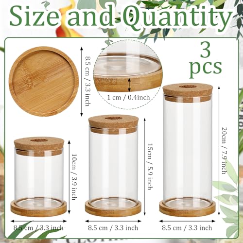 3 Pcs 3 Sizes Plant Propagation Station Separated Glass Plant Terrarium Water Hydroponic Planter Holder with Lid and Wooden Stand Propagation Vase Pot for Home Indoor Office(Various Sizes) - size: Various Sizes