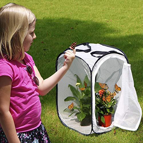 RESTCLOUD Insect and Butterfly Habitat Cage Terrarium Pop-up 23.6 Inches Tall - color: White With Black, size: 15.7 x 15.7 x 23.6 inches