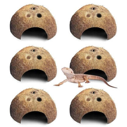 PINVNBY Natural Coconut Reptile Hideouts Lizard, Coco Hut Hermit Crab Hut Aquarium Fish Hide Cave for Small Reptile Crested Gecko Leopard Gecko Spider Snail Climber Toys (6 PCS Natural Surface) - size: 6 PCS Natural Surface