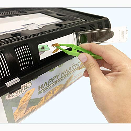 Happy Habitat (Large) - Ventilated Enclosure & Breeder Box - for Live Feeder Insects, Reptiles, Amphibians & Other Small Pets - Durable Plastic Portable Terrarium - size: Large