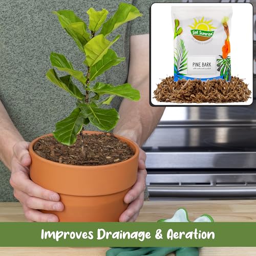 Soil Sunrise 100% Natural Pine Bark Mulch Nuggets (30 Quarts) Small Mulch Chips for Indoor/Outdoor Container Gardening, Ideal for Soil Supplement, Houseplant Mulch, and Terrariums - size: 30 Quarts