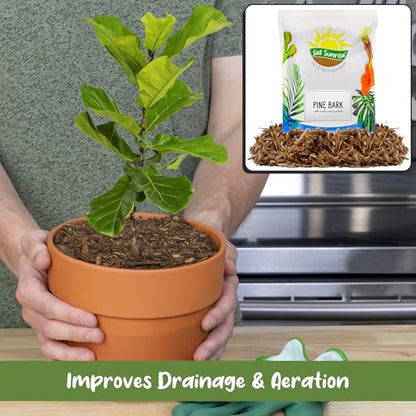 Soil Sunrise 100% Natural Pine Bark Mulch Nuggets (30 Quarts) Small Mulch Chips for Indoor/Outdoor Container Gardening, Ideal for Soil Supplement, Houseplant Mulch, and Terrariums - size: 30 Quarts
