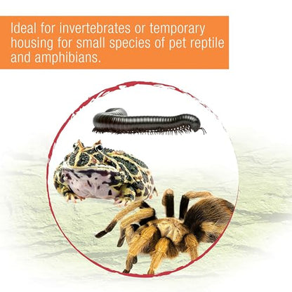 Zilla Micro Habitat Terrarium, Terrestrial, with Locking Latch, for Isopods, Spiders, Insects, Large - size: Large, style: Terrestrial