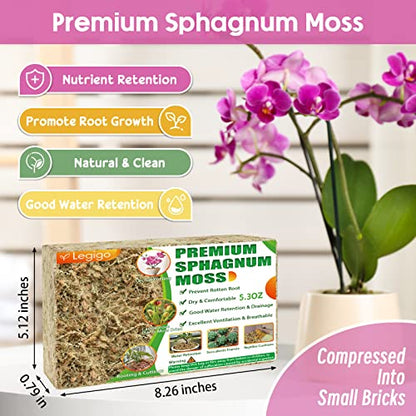 5.3OZ Sphagnum Moss for Plants - 6QT Natural Long Fibers Orchid Moss | Moisture Retention & Drainage Balance, Plant Moss for Orchids, Succulents, Carnivorous, Ferns, Reptile Bedding & Terrariums - size: 6 QT(5.3 oz)