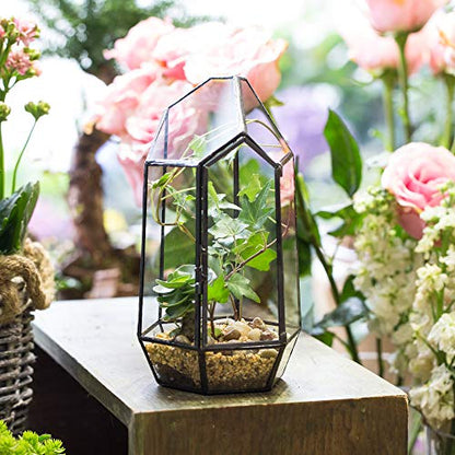 NCYP Small 5.1" x 5.1" x 8.66" Irregular Geometric Glass Terrarium Planter with Door - Home Tabletop Display Container Pot for Moss, Fern - Indoor Clear Decor, Black (No Plants)