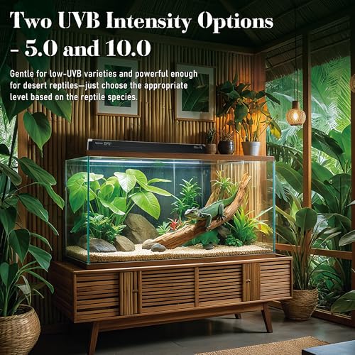 4W Reptile T5 HO UVB 6.5" 10.0 Light Fixture with Tube, Dedicated UVB Spot Hood for Terrariums, Suitable for Desert Reptiles Like Baby Bearded Dragon - color: 10.0 Desert