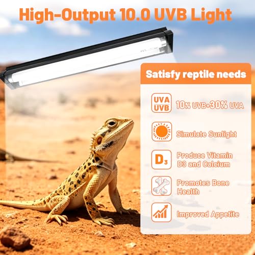 T8 UVB Reptile Light Fixture Combo Kit 15W, 10.0 HO UVB Bulb Lighting with Hood, High Output Desert UVB Light for Reptiles, 18" UVB Light for Bearded Dragon, Lizards, Tortoise Terrarium Tank - size: 18INCH-10.0