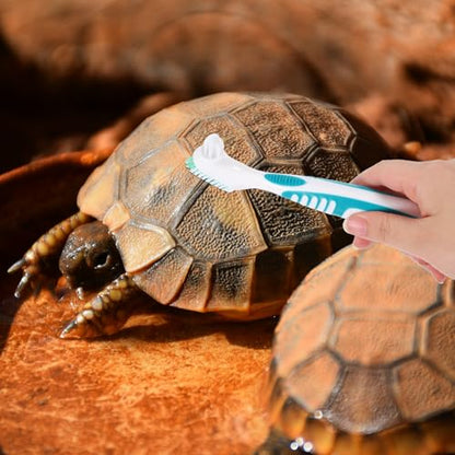 UPKOCH 2pcs Aquatic Turtle Shell Cleaning Brush Portable Mud and Dirt Remover for Tortoise Tanks and Reptile Habitats Household Use