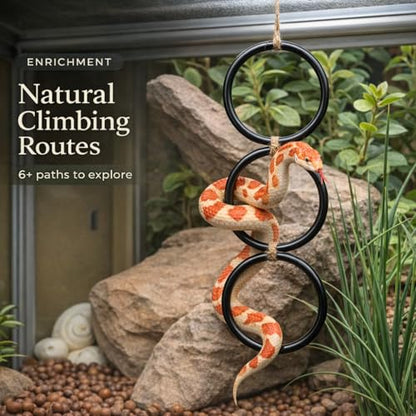 2PCS Snake Climbing Rings for Ball Python - Enrichment Toys for Corn Snake | Reptiletank Cage Decor Habitat Accessories | Terrarium, Bearded Dragon, Chameleon, Iguana, Gecko, Lizard, Parrot