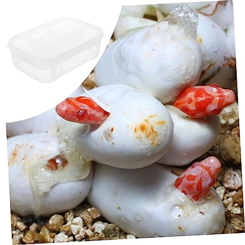 Happyyami Reptile Hatching Box Incubation Hatchery for Geckos Lizards Snakes Two Design Holds Eggs Visible Hatching Process Efficient Egg Incubator