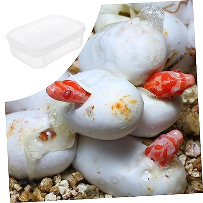 Happyyami Reptile Hatching Box Incubation Hatchery for Geckos Lizards Snakes Two Design Holds Eggs Visible Hatching Process Efficient Egg Incubator