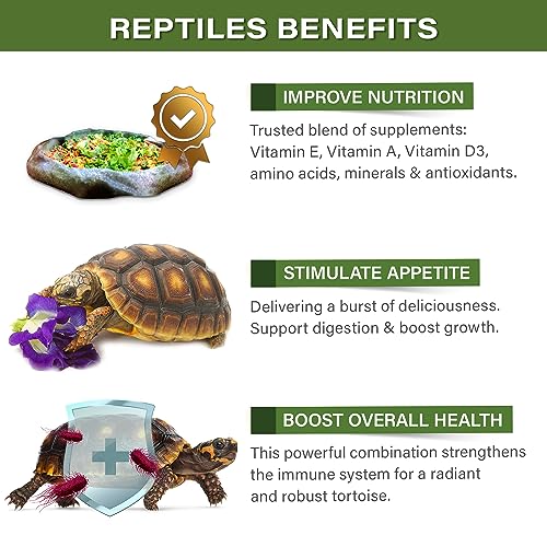 Gargeer 16oz Forest Tortoise Salad Topper. Enhanced Appetite, USA Made | Black soldier fly larvae, dried fig & floral topper! Boosts forest tortoise appetite with protein, fiber & vitamins - size: 1 Pound (Pack of 1)