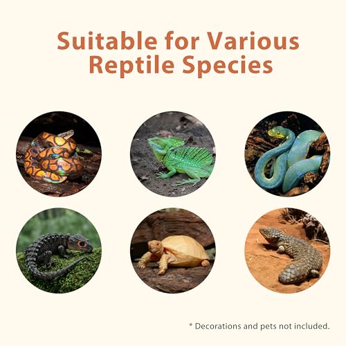20 Gallon PVC Reptile Enclosure, RepWild 30"x12"x12" Terrarium/Tank with Heavy-Duty Screen Top, Glass Sliding Doors & Lock for Bearded Dragons, Ball Python, Geckos, Lizards - size: 30"W x 12"D x 12"H