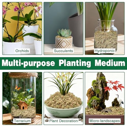 12L Premium Sphagnum Moss for Plants Indoor, New Zealand Sphagnum Moss for Orchid Potting Mix Terrarium Succulent Carnivorous Ferns Hosta Garden & Reptile Habitat