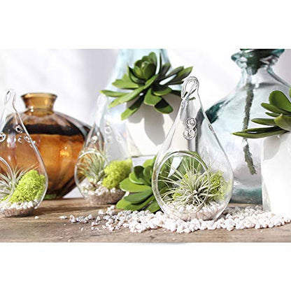 WGV Glass Hanging Plant Terrarium Bulk, Width 3", Height 5.5", Teardrop DIY Air Succulent Planter Clear Tea Light Votive Candle Holder, Wedding Event Office Home Outdoor Decor, 3 Pieces