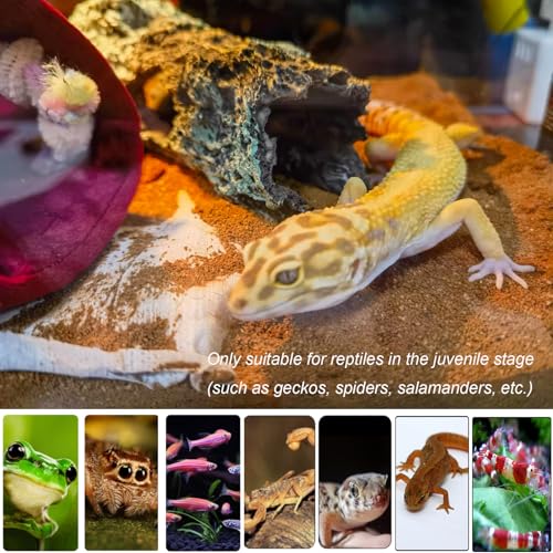 Tfwadmx Reptile Hide Cave Small Resin Aquarium Deoration Cave Hollow Tree Trunk Log Fish Tank Ornament Hideout for Small Reptile Gecko Tarantula Fish Shrimp7.3 * 2.7 * 2.7IN