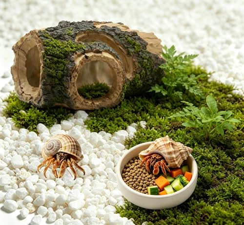 Beard Dragon,Lizard and Reptile Hide,Fish Tank Accessories Hides,Aquarium Decor for Betta Fish,Shrimp,Hermit Crabs,Spiders,Mice,Leopard Geckos,Toads and Frogs (Brown, m) - size: m
