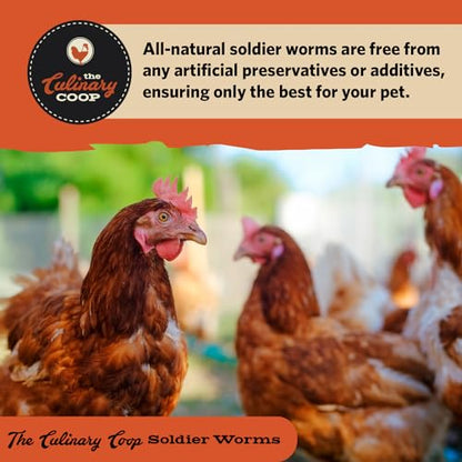 Fluker's Culinary Coop Bulk Dried Soldierworms, Premium Organic Dried Soldierworms for Chickens-High Protein & Omega3 Chicken Feed for Wild Birds, Reptile,& Chicken Treats for Laying Hens, 5lbs - size: 5 pound (Pack of 1)