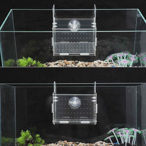 Fish Breeder Box for Fish Tank, Acrylic Fish Tank Divider, Easy to Install, 5.91"x3.94"x3.94", Clear, 1 Set - size: 5.91"x3.94"x3.94"