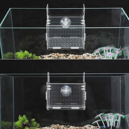 Fish Breeder Box for Fish Tank, Acrylic Fish Tank Divider, Easy to Install, 5.91"x3.94"x3.94", Clear, 1 Set - size: 5.91"x3.94"x3.94"