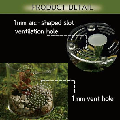 Acrylic Terrarium for Reptiles & Spiders – Small/Medium/Large Leak-Proof Enclosure (Horizontal/Vertical) | Ideal for Tarantulas, Jumping Spiders, Frogs & Geckos(Small, Round) - size: Small