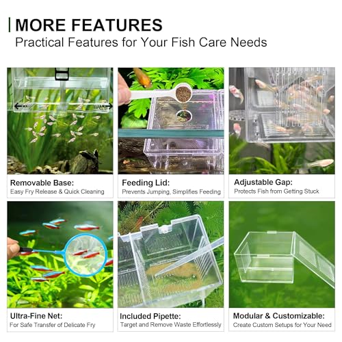 Dual-Chamber Aquarium Fish Breeder & Isolation Box, Transparent Hatching Incubator Tank with Suction Cups & Hook, Nursery for Livebearer Guppy Fry Breeding and Betta Fish, Shrimp Quarantine - size: Dual-Chamber (6.88*3.62*4.33 IN)