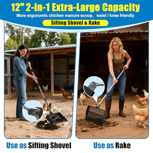 12-Inch 2-in-1 Chicken Poop Scooper & Rake, Chicken Coop Scoop with Adjustable Stainless Steel Handle （24–64"）, 3 Angles & 2 Sifting Holes, Litter Scoop Sand Sifting Shovel Pooper Scooper (Black) - color: Black